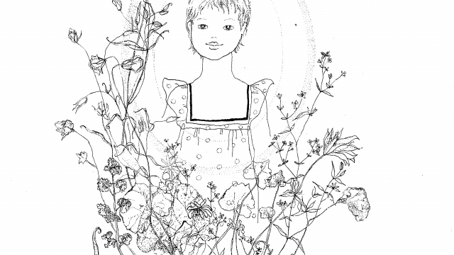 knižní ilustrace